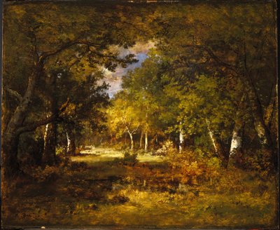 Forest Scene, c.1844-60 by Narcisse Virgile Diaz de la Peña